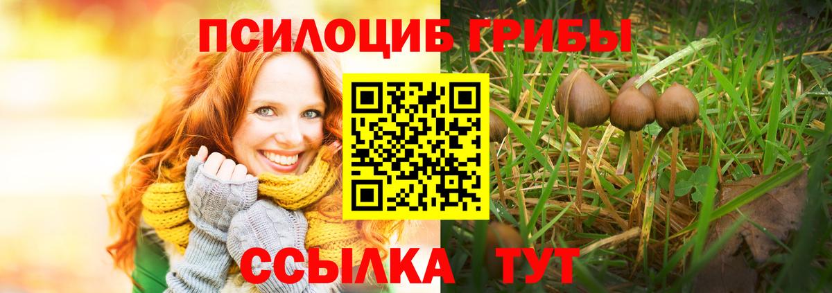 Галлюциногенные грибы мухоморы  Псилоцибиновые грибы мухоморы  Вход с VPN  Выборг 